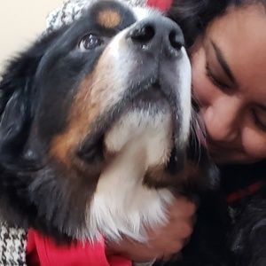 Meet your Posher, Nimmi